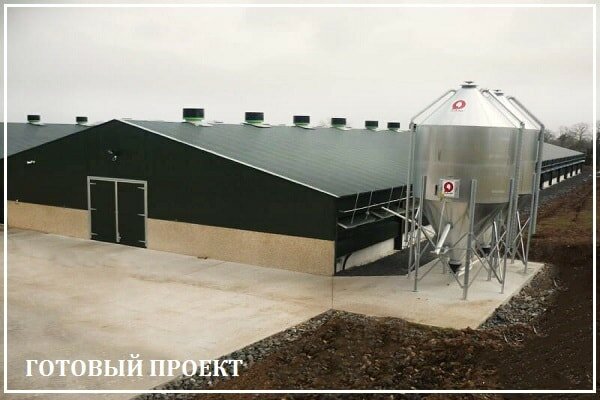 Этапы возведения птицефабрики от завода ВелесТент-брб